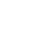 Velo Culture