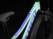 Precaliber 24