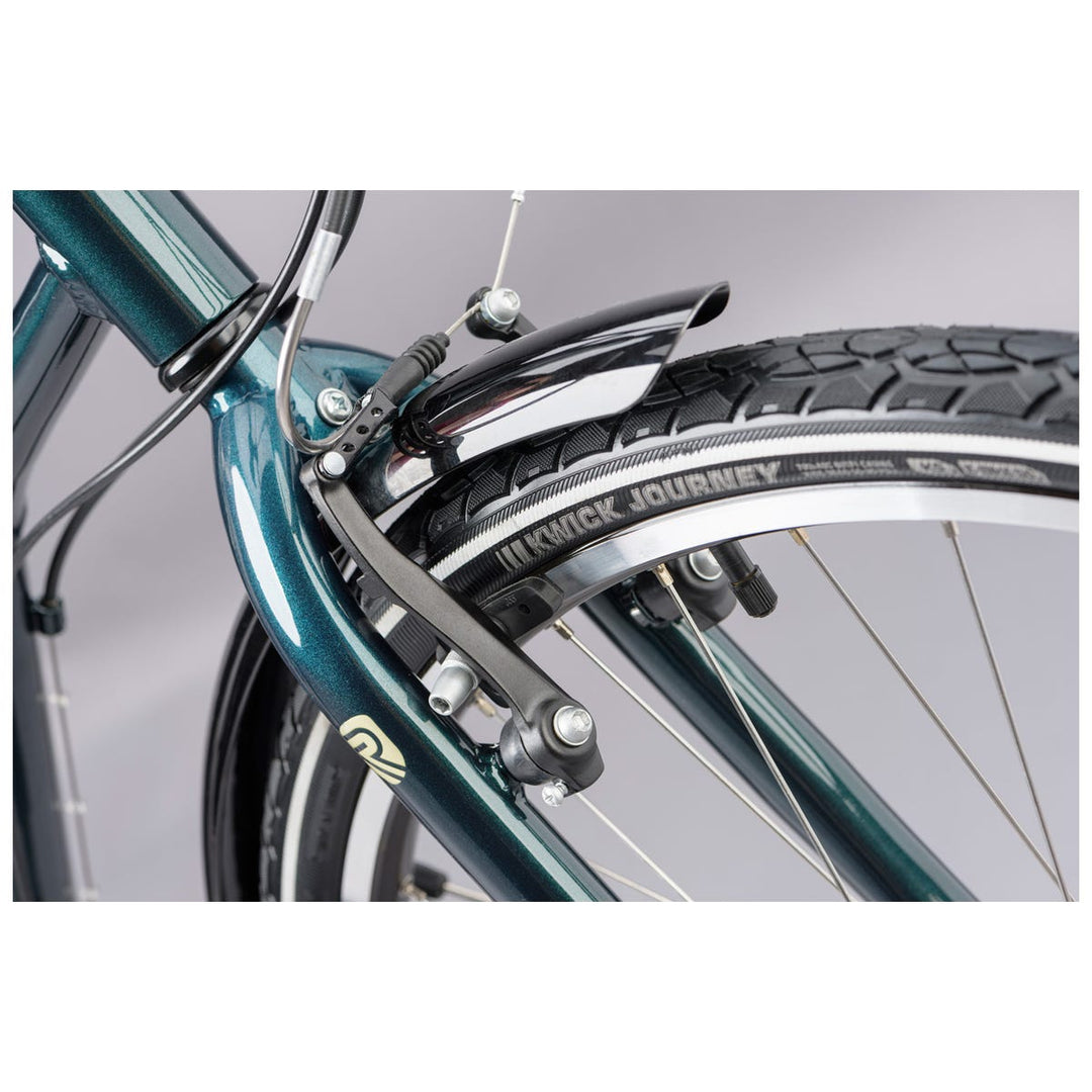 Ridgeback avenida 6 clearance