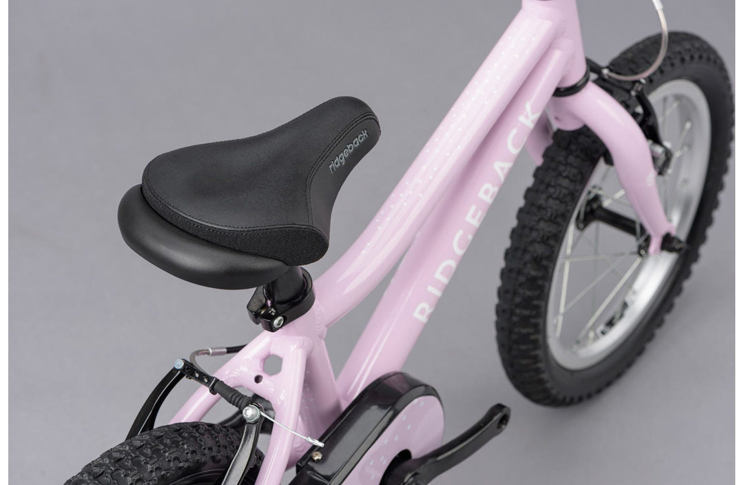 Ridgeback honey bike sales